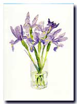 Irises 1