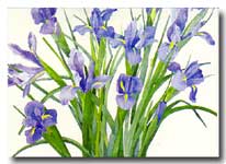 Irises 2
